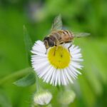 li-yan-Ltifa3Xw7Qc-unsplash