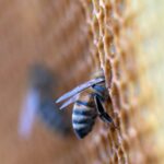 wolfgang-hasselmann-UPJ0vTjPFXE-unsplash